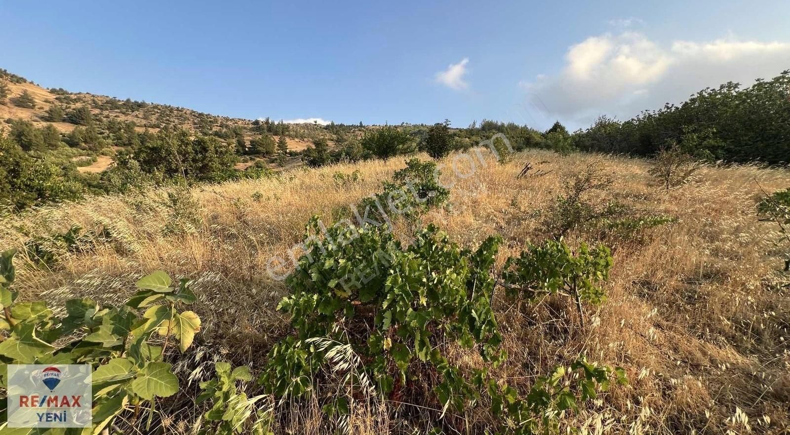 Re/max Yeni'den Hobi&hayvancılığa Uygun Satılık Bağ - Görsel 3