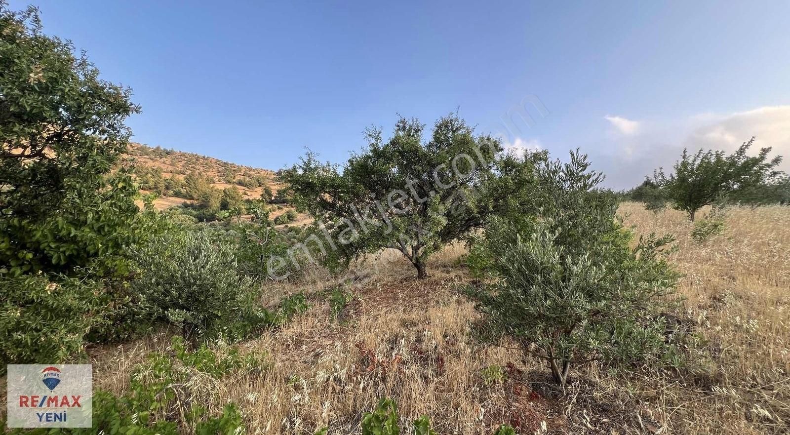 Re/max Yeni'den Hobi&hayvancılığa Uygun Satılık Bağ - Görsel 12