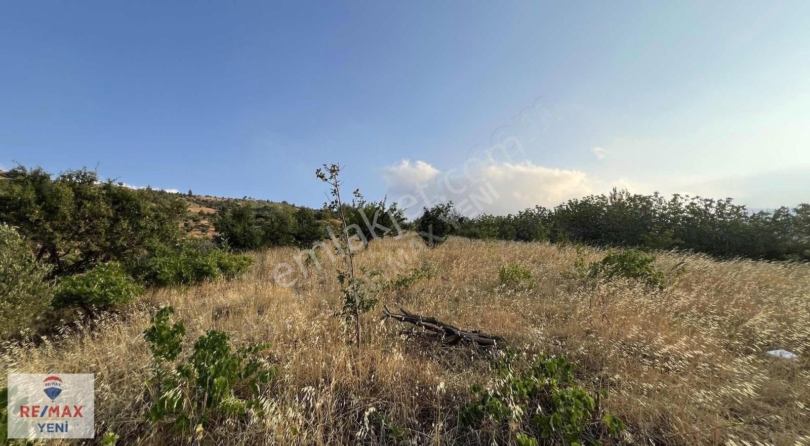 Re/max Yeni'den Hobi&hayvancılığa Uygun Satılık Bağ - Görsel 9