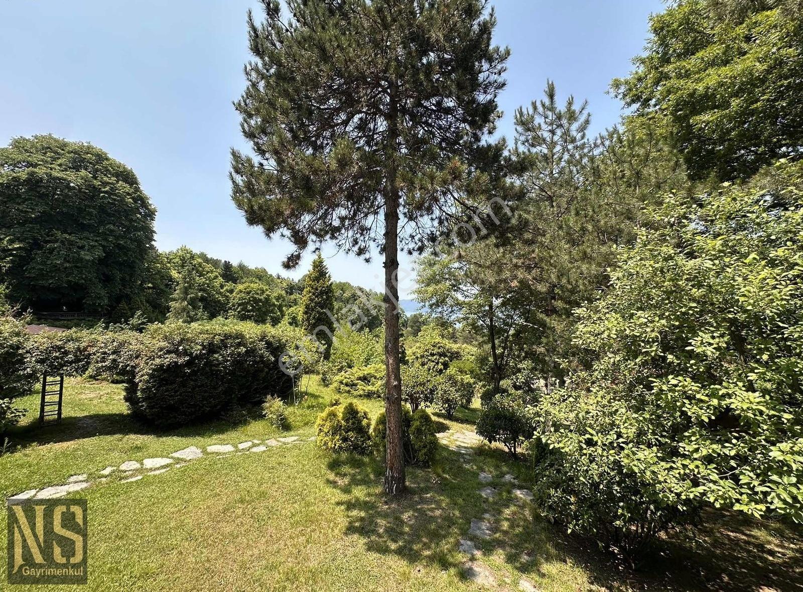 Sapanca Göl Manzaralı 22.600m2 Arsa - Görsel 14
