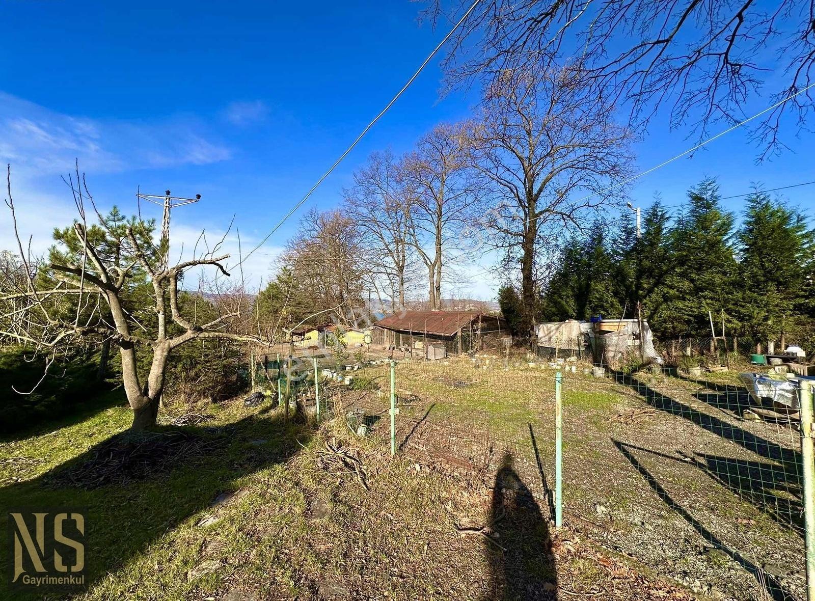 Sapanca Göl Manzaralı 22.600m2 Arsa - Görsel 15