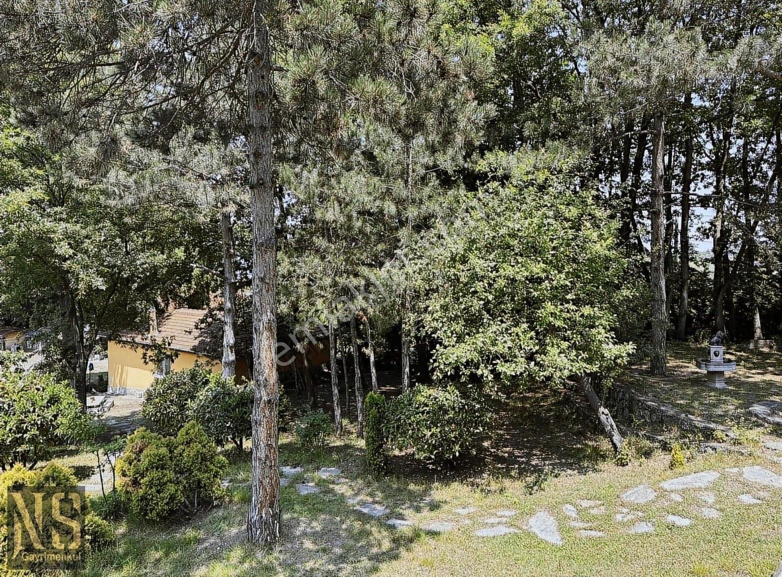 Sapanca Göl Manzaralı 22.600m2 Arsa - Görsel 11