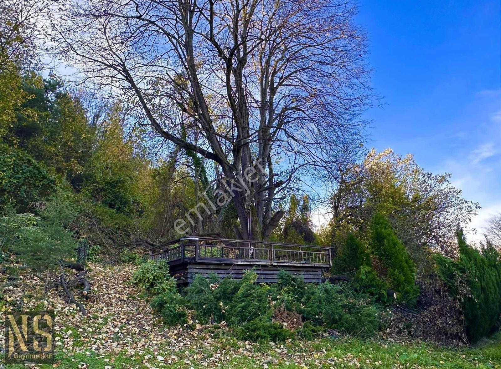 Sapanca Göl Manzaralı 22.600m2 Arsa - Görsel 13