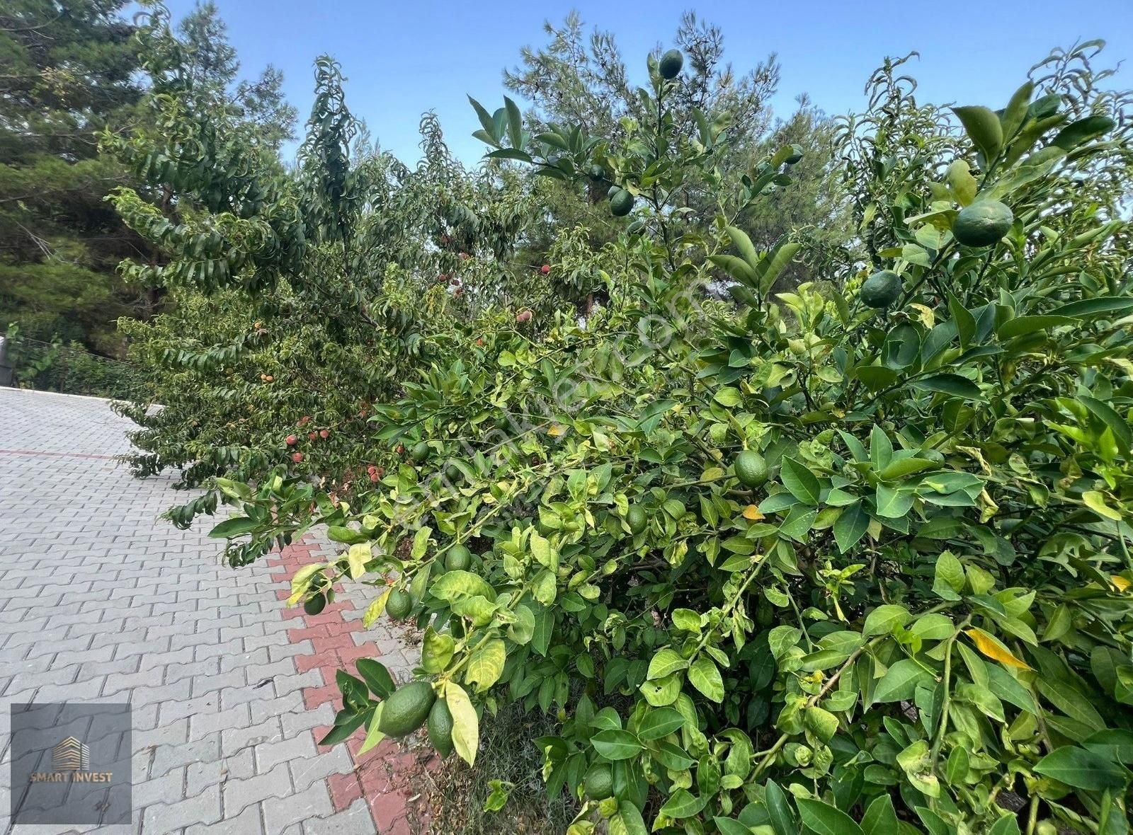 Alanya Üzümlü Mahallesinde Satılık 2+1 Villa Ve Bahçe - Görsel 9