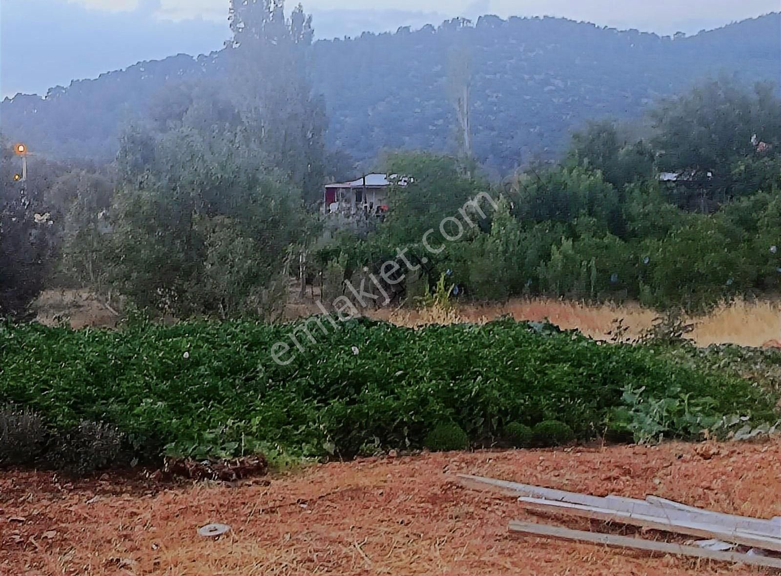 Seydikemer De 910 M² Satılık Arsa - Tarla - Görsel 2