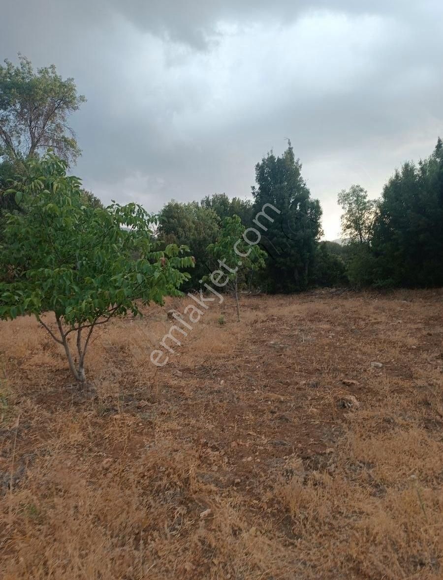 Seki Mh.420 M2 Satılık Arsa ( Merkezde Uygun Fiyata)