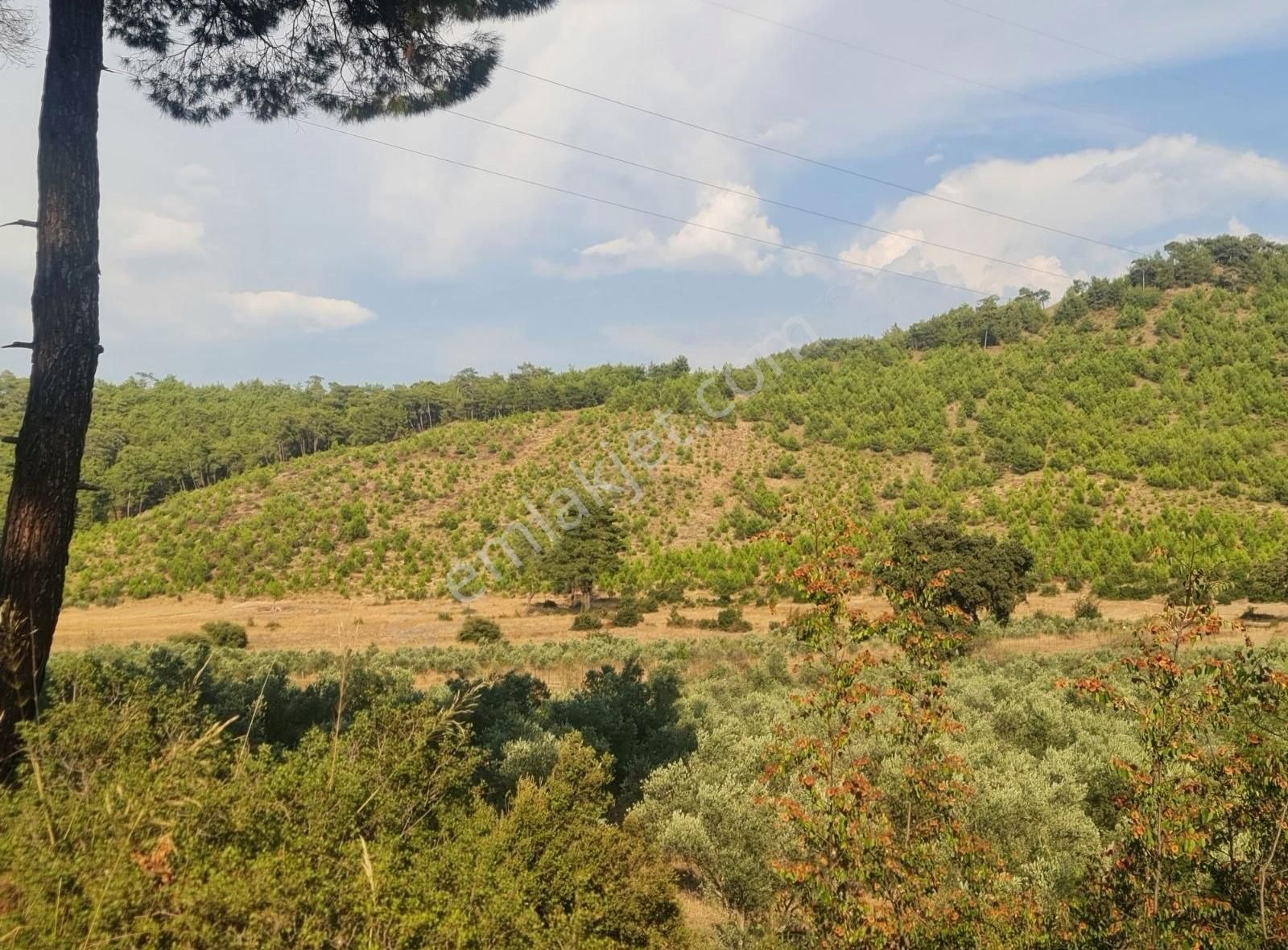 Gökben Mah. 5050 M² Satılık Tarla - Görsel 6