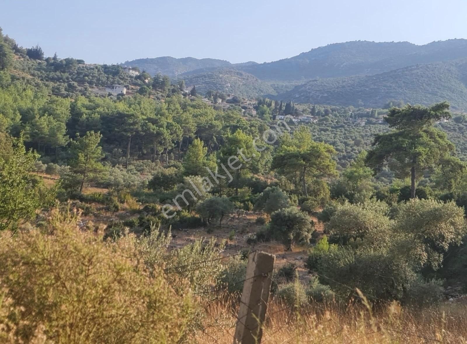 Gökben Mah. 5050 M² Satılık Tarla - Görsel 4