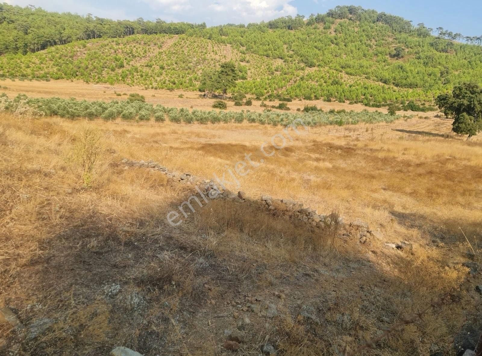 Gökben Mah. 5050 M² Satılık Tarla - Görsel 28