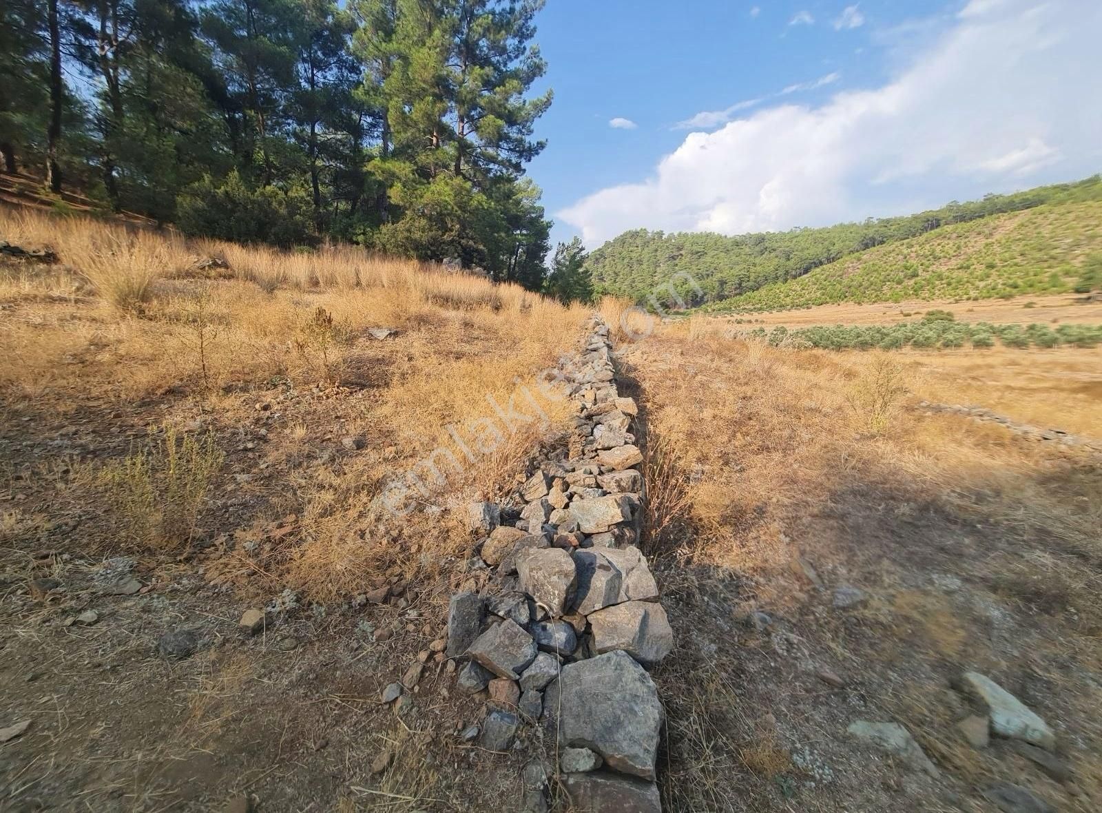 Gökben Mah. 5050 M² Satılık Tarla - Görsel 15