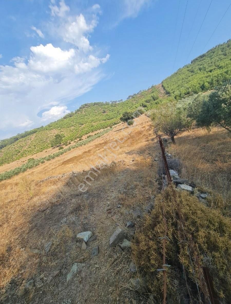 Gökben Mah. 5050 M² Satılık Tarla - Görsel 17