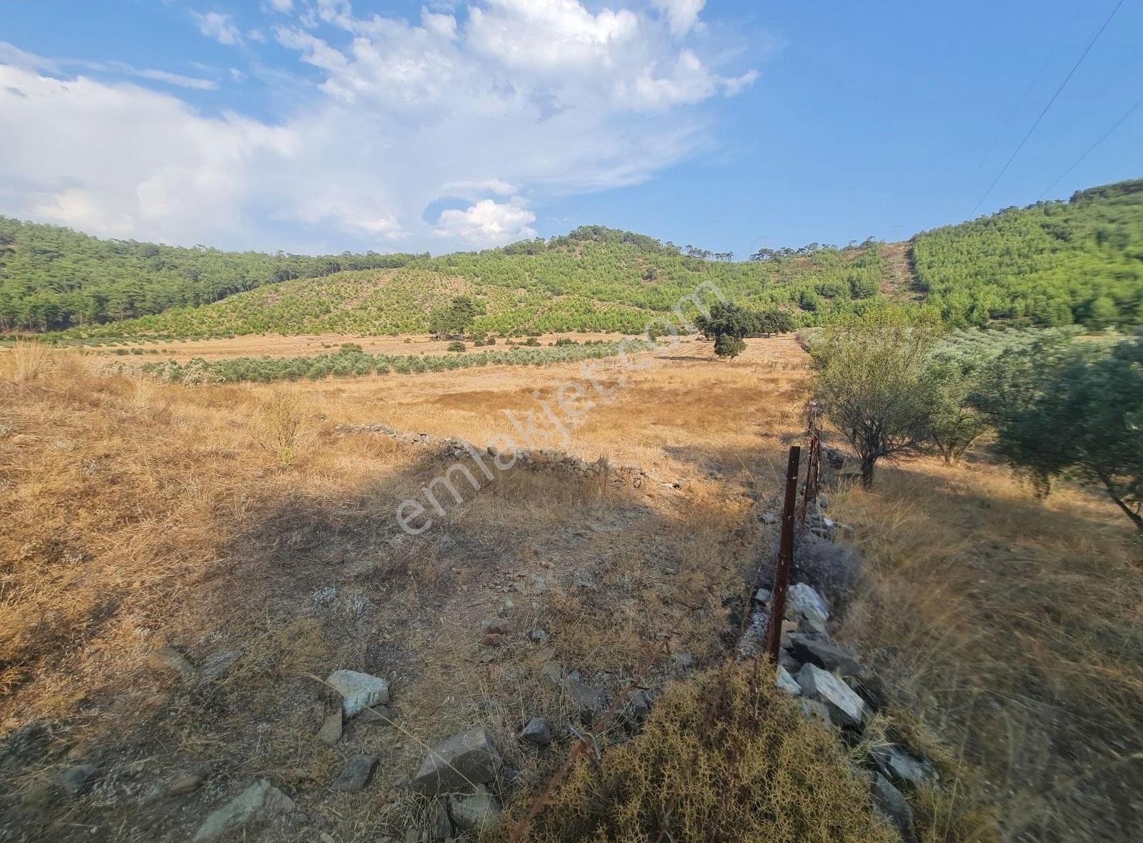 Gökben Mah. 5050 M² Satılık Tarla - Görsel 26