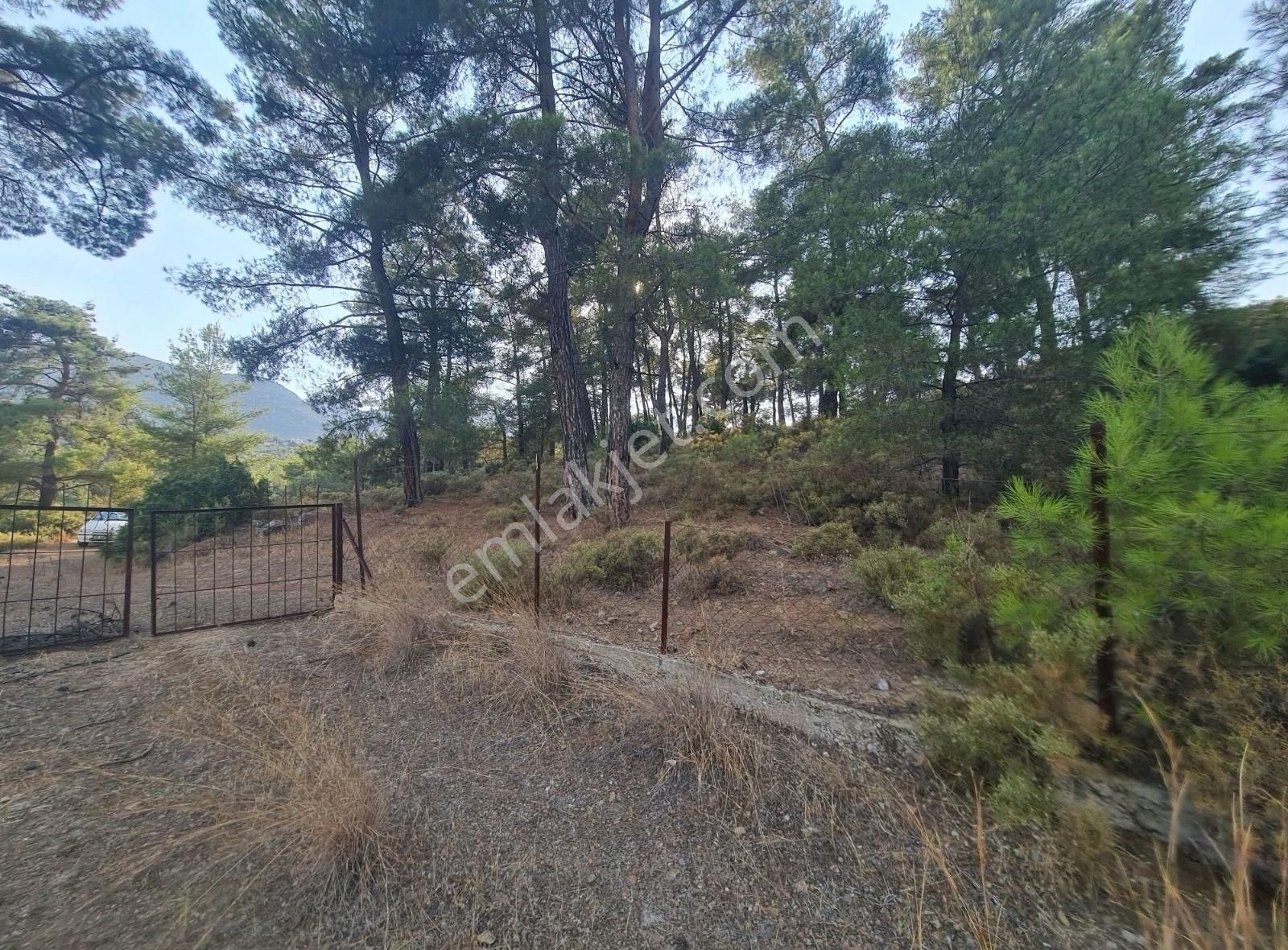 Gökben Mah. 5050 M² Satılık Tarla - Görsel 31