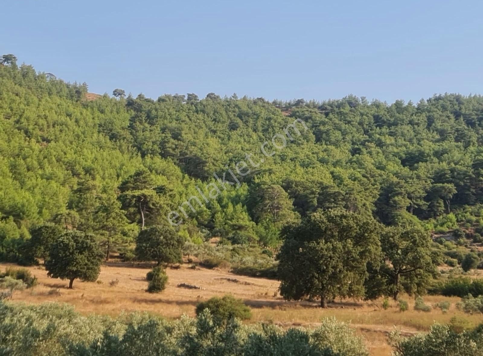 Gökben Mah. 5050 M² Satılık Tarla - Görsel 5