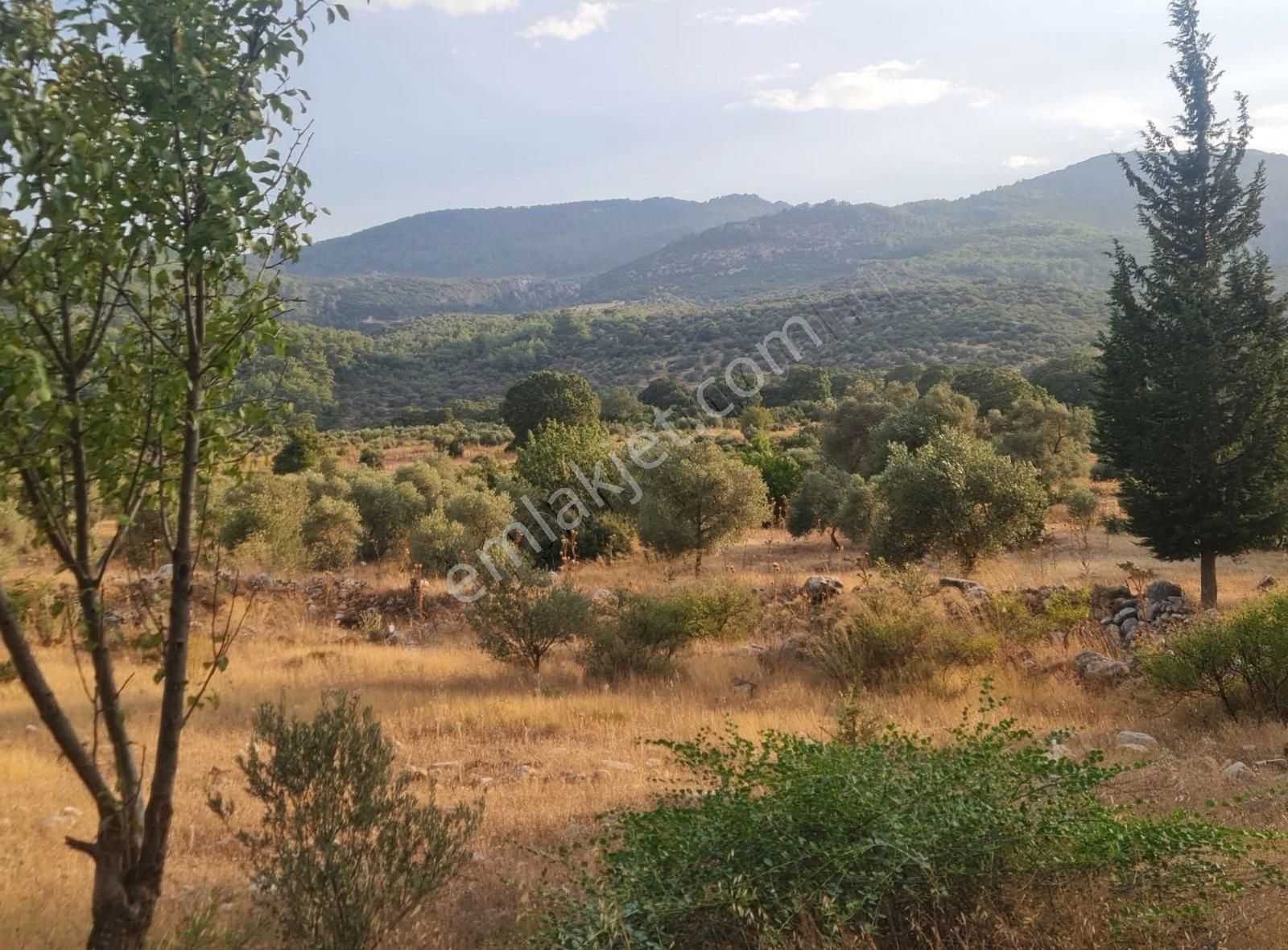 Gökben Mah. 5050 M² Satılık Tarla - Görsel 33