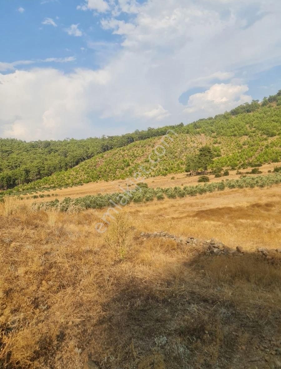 Gökben Mah. 5050 M² Satılık Tarla - Görsel 14