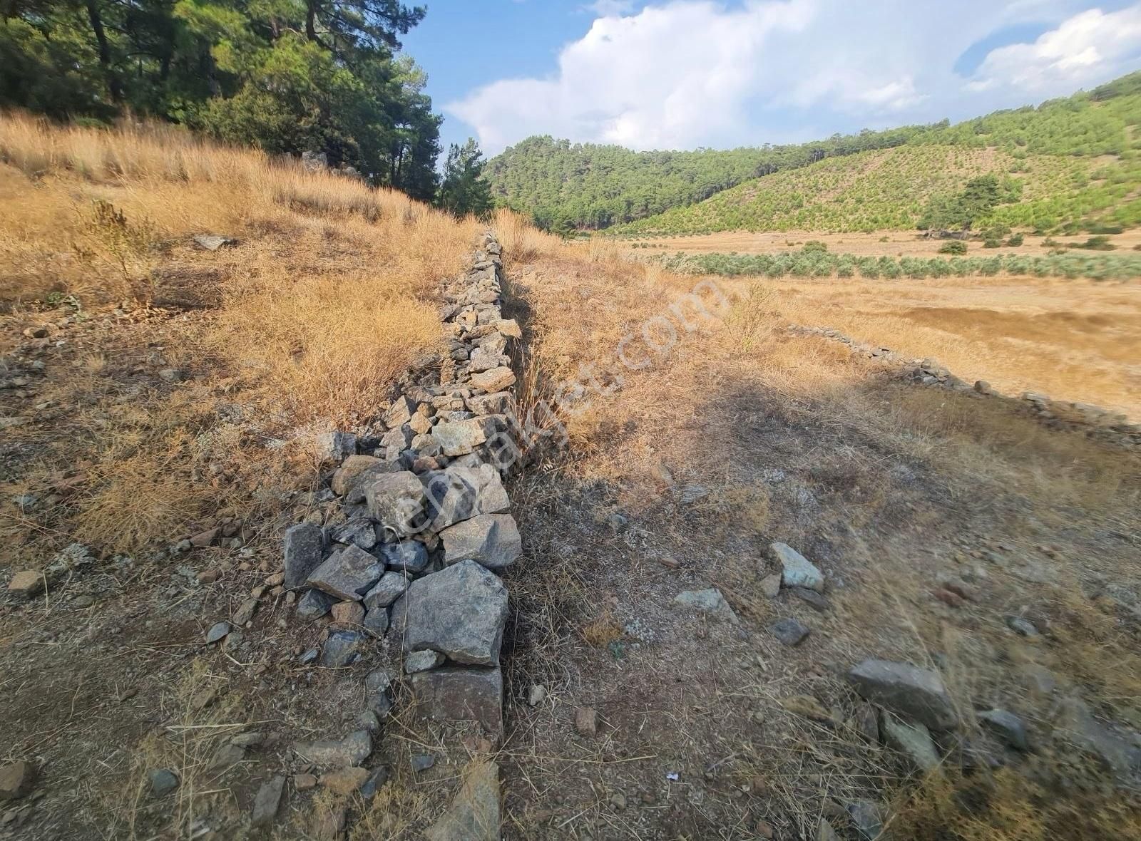Gökben Mah. 5050 M² Satılık Tarla - Görsel 32