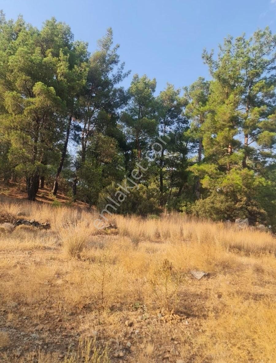 Gökben Mah. 5050 M² Satılık Tarla - Görsel 30