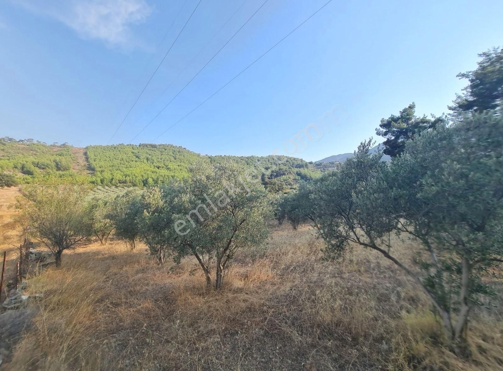 Gökben Mah. 5050 M² Satılık Tarla - Görsel 3