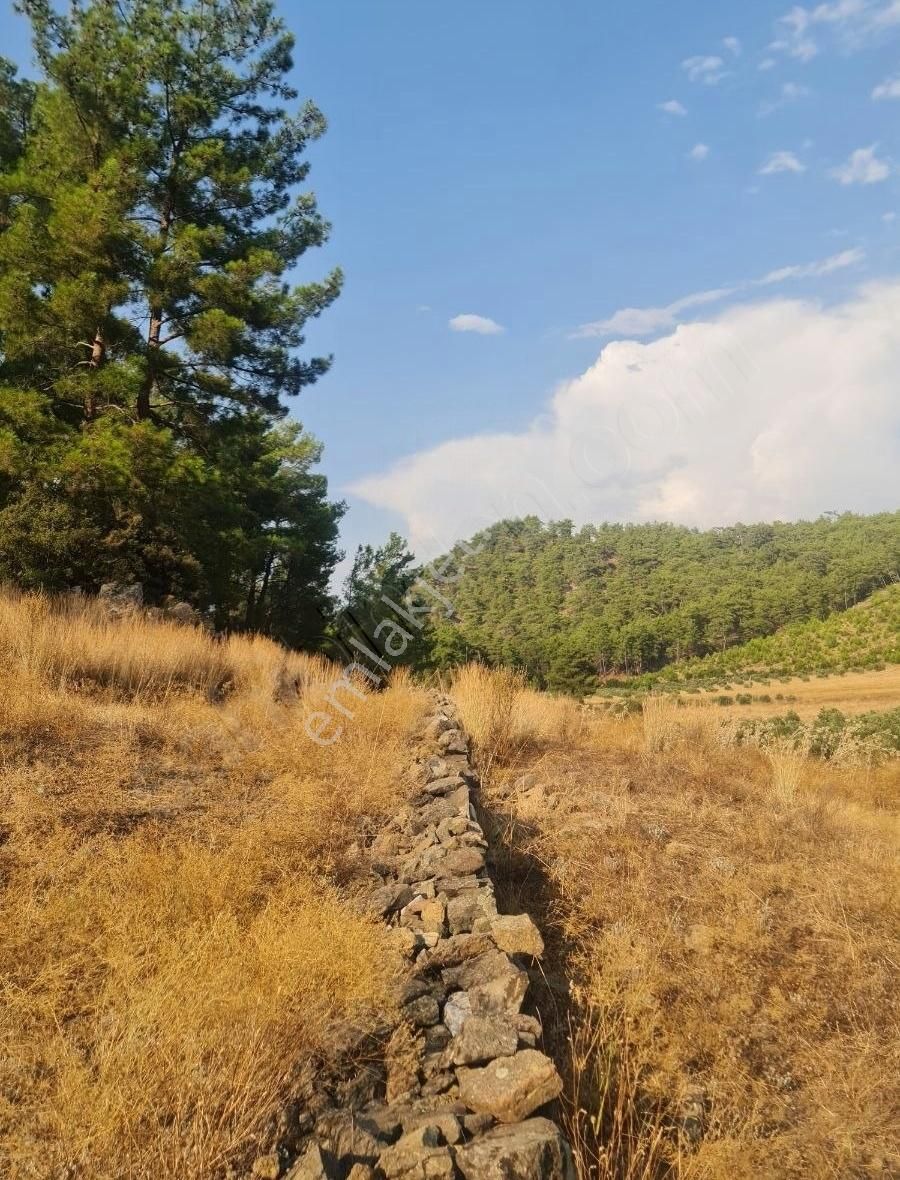 Gökben Mah. 5050 M² Satılık Tarla - Görsel 8