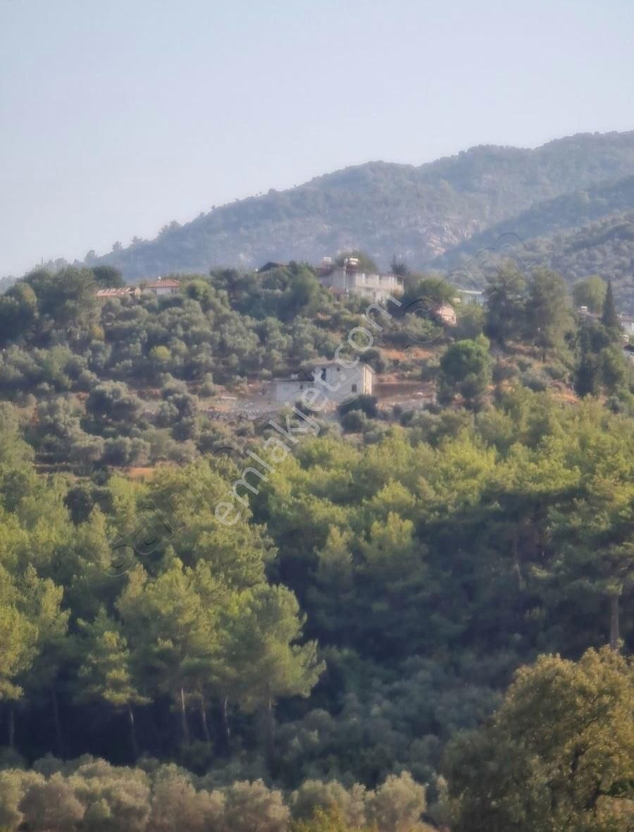 Gökben Mah. 5050 M² Satılık Tarla - Görsel 2
