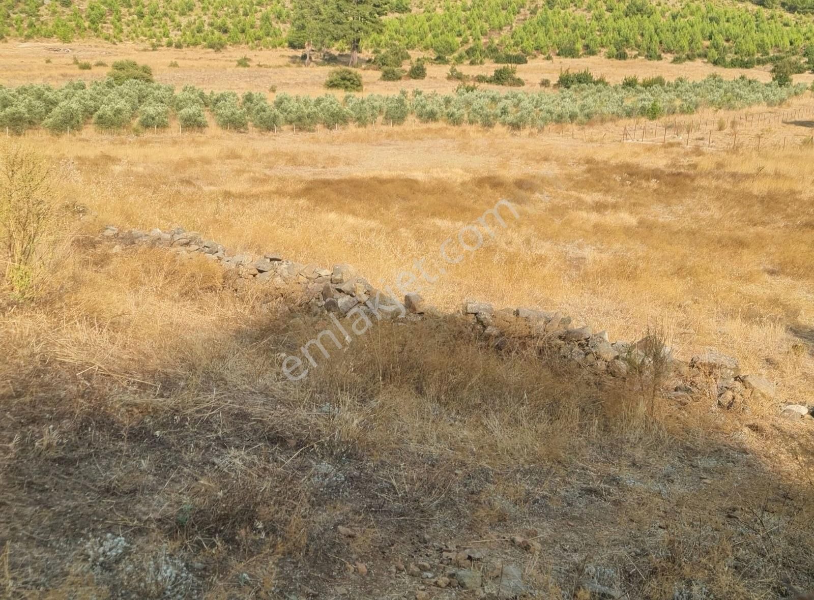 Gökben Mah. 5050 M² Satılık Tarla - Görsel 11