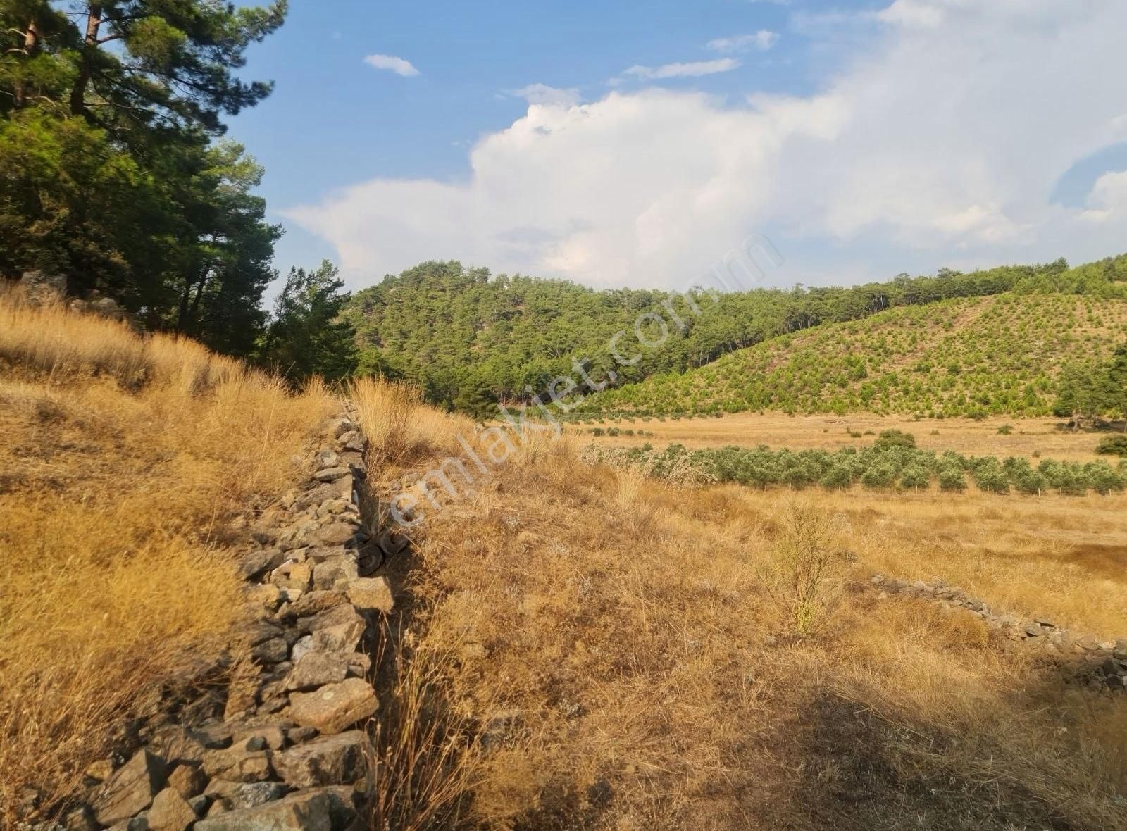 Gökben Mah. 5050 M² Satılık Tarla - Görsel 10