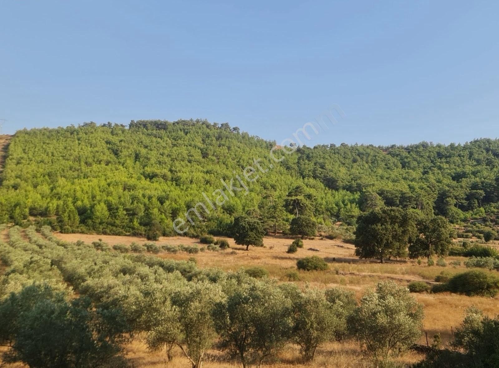 Gökben Mah. 5050 M² Satılık Tarla - Görsel 25