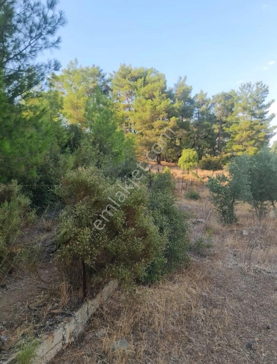 Gökben Mah. 5050 M² Satılık Tarla - Görsel 22