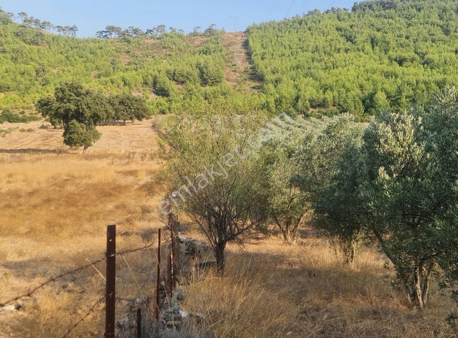 Gökben Mah. 5050 M² Satılık Tarla - Görsel 7