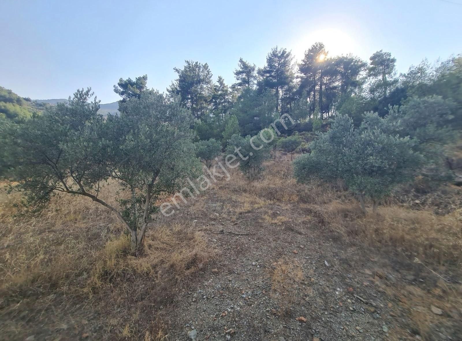 Gökben Mah. 5050 M² Satılık Tarla - Görsel 9