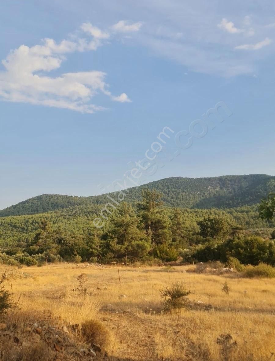 Gökben Mah. 5050 M² Satılık Tarla - Görsel 29