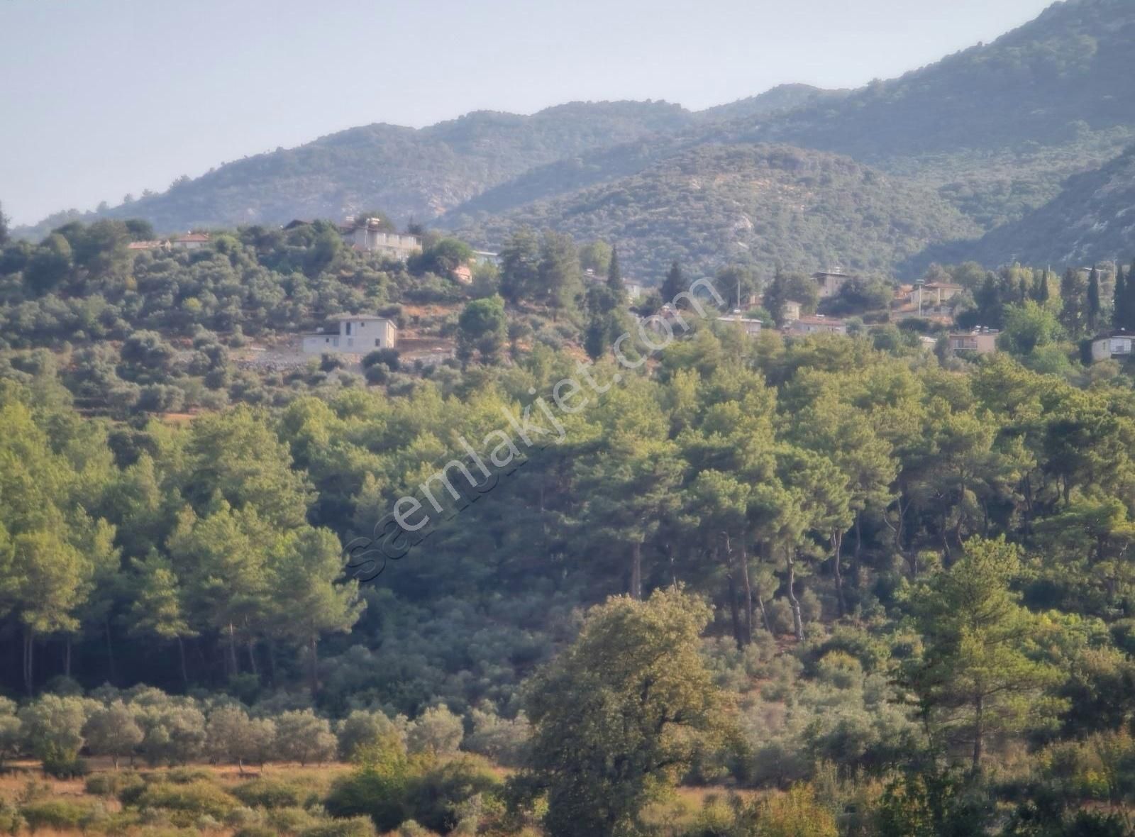 Gökben Mah. 5050 M² Satılık Tarla - Görsel 12