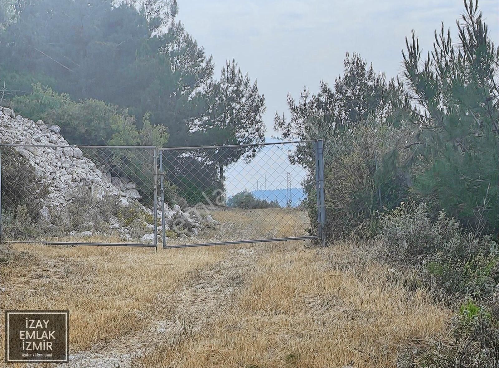 Karaburun Mordoğan Da Deniz Manzaralı Satılık 5 Dönümlük Tarla - Görsel 4