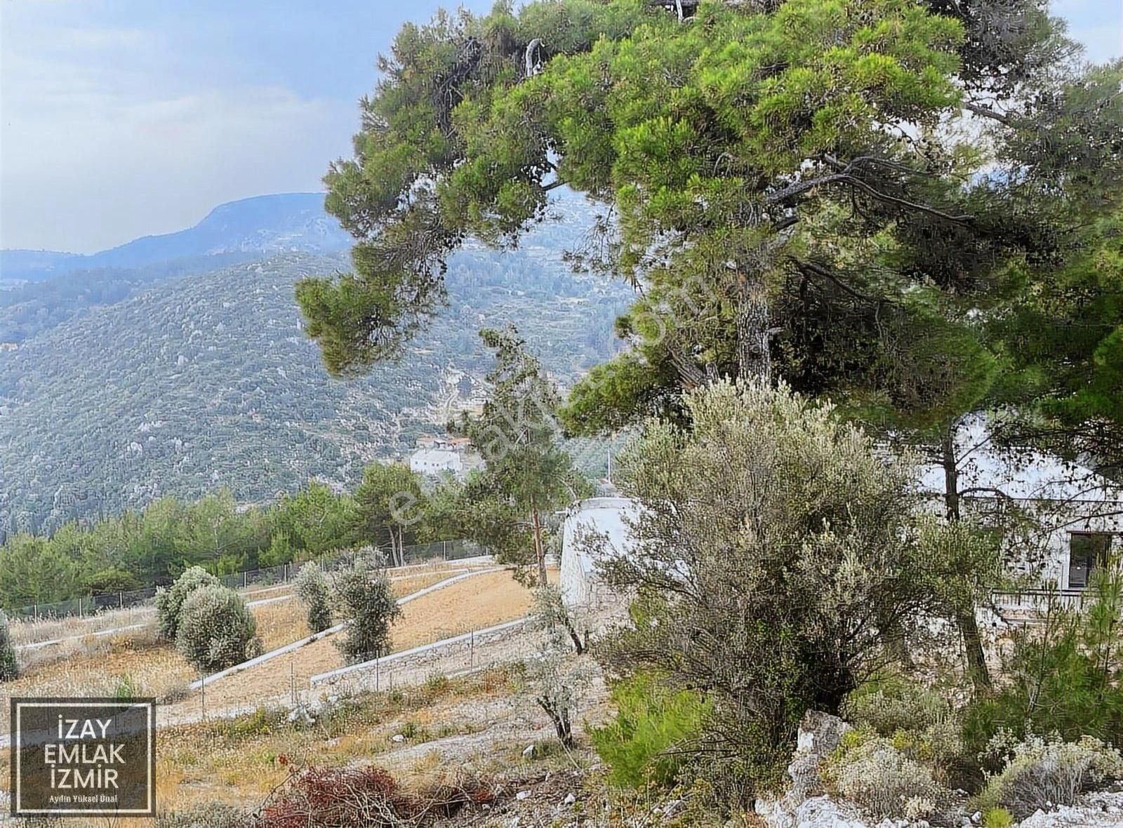 Karaburun Mordoğan Da Deniz Manzaralı Satılık 5 Dönümlük Tarla - Görsel 19