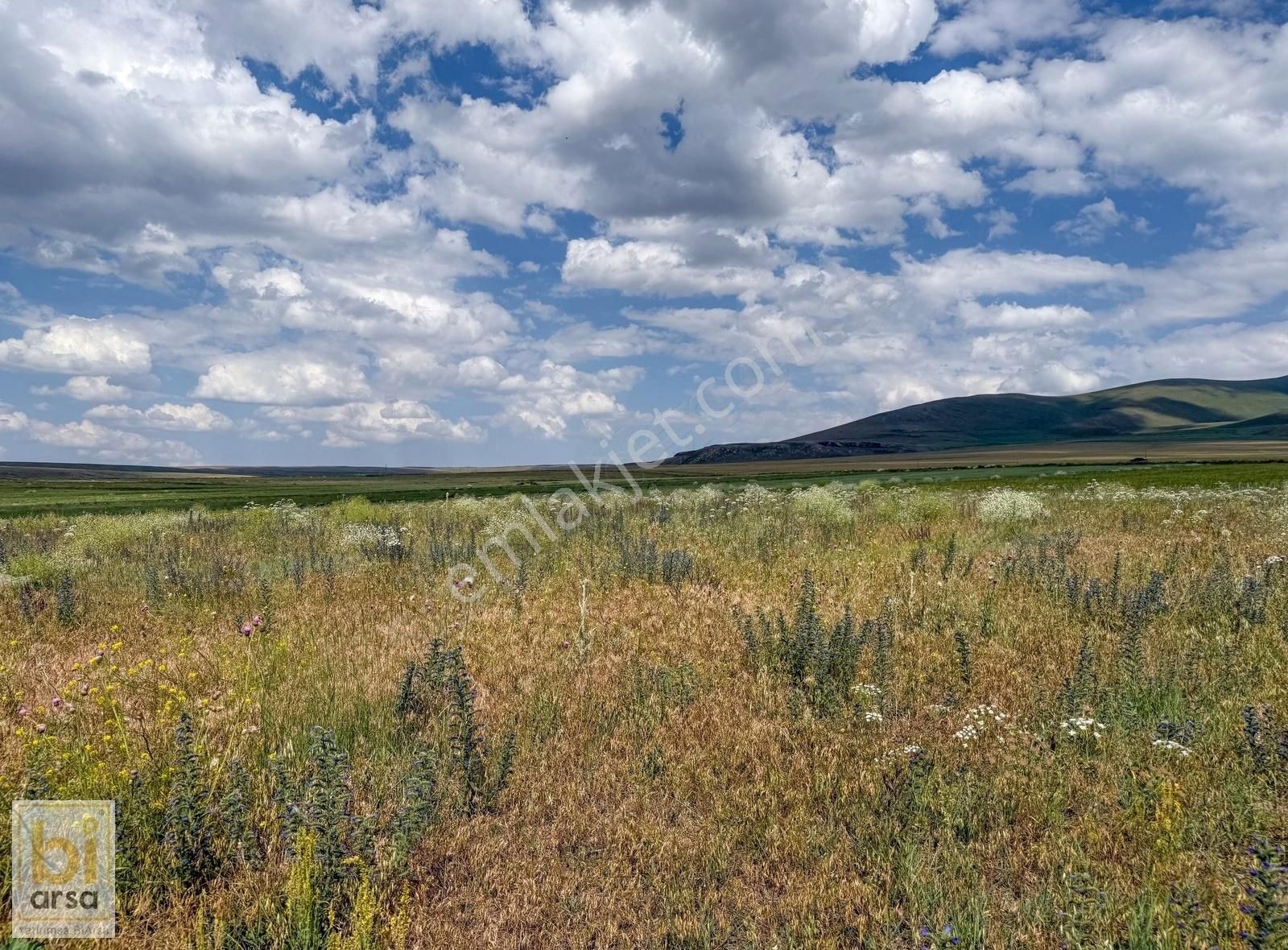 Kars Merkez'de Asfalt Yola 200 Metre Mesafede Yatırım Fırsatı