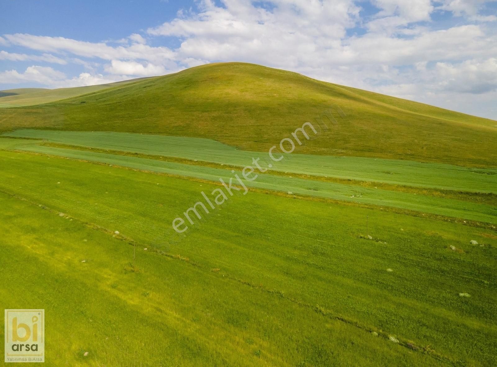Kars Merkez'de 7.866 M² Yatırım Fırsatı