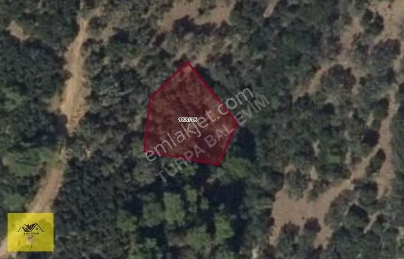 Karşıyaka Yamanlar Satılık Kupon Tarla 1100m2