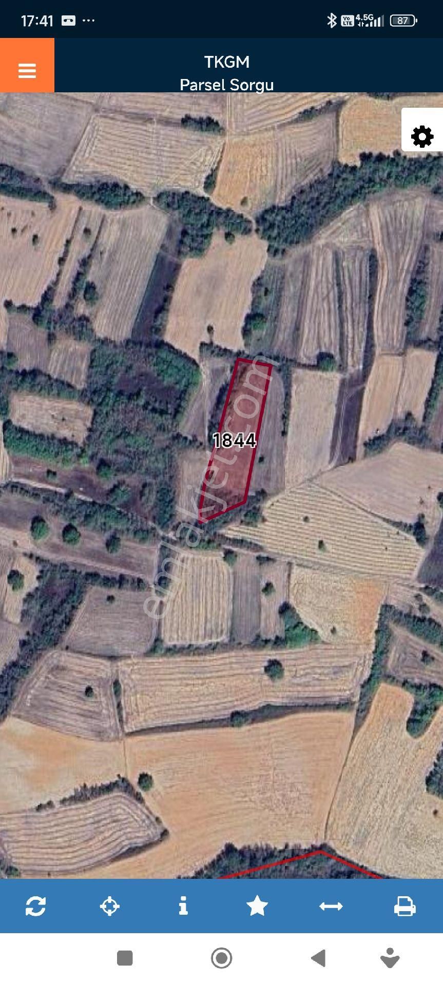 Edirne Havsa Şerbettar Köyünde Satılık Bağ Tapulu Tarla
