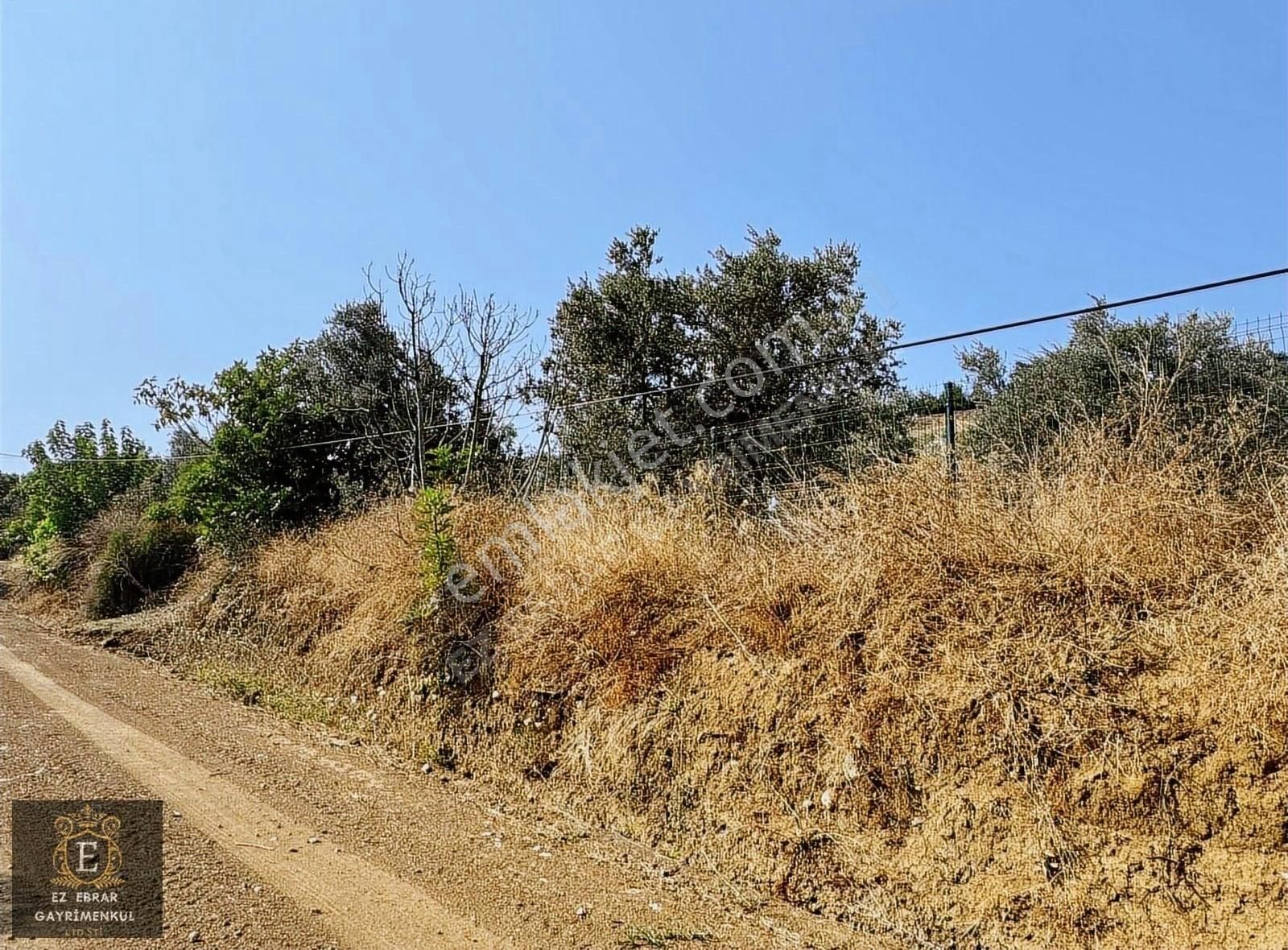 Mudanya İpekyayla'da 2750 M2, Yatırımlık Arazi