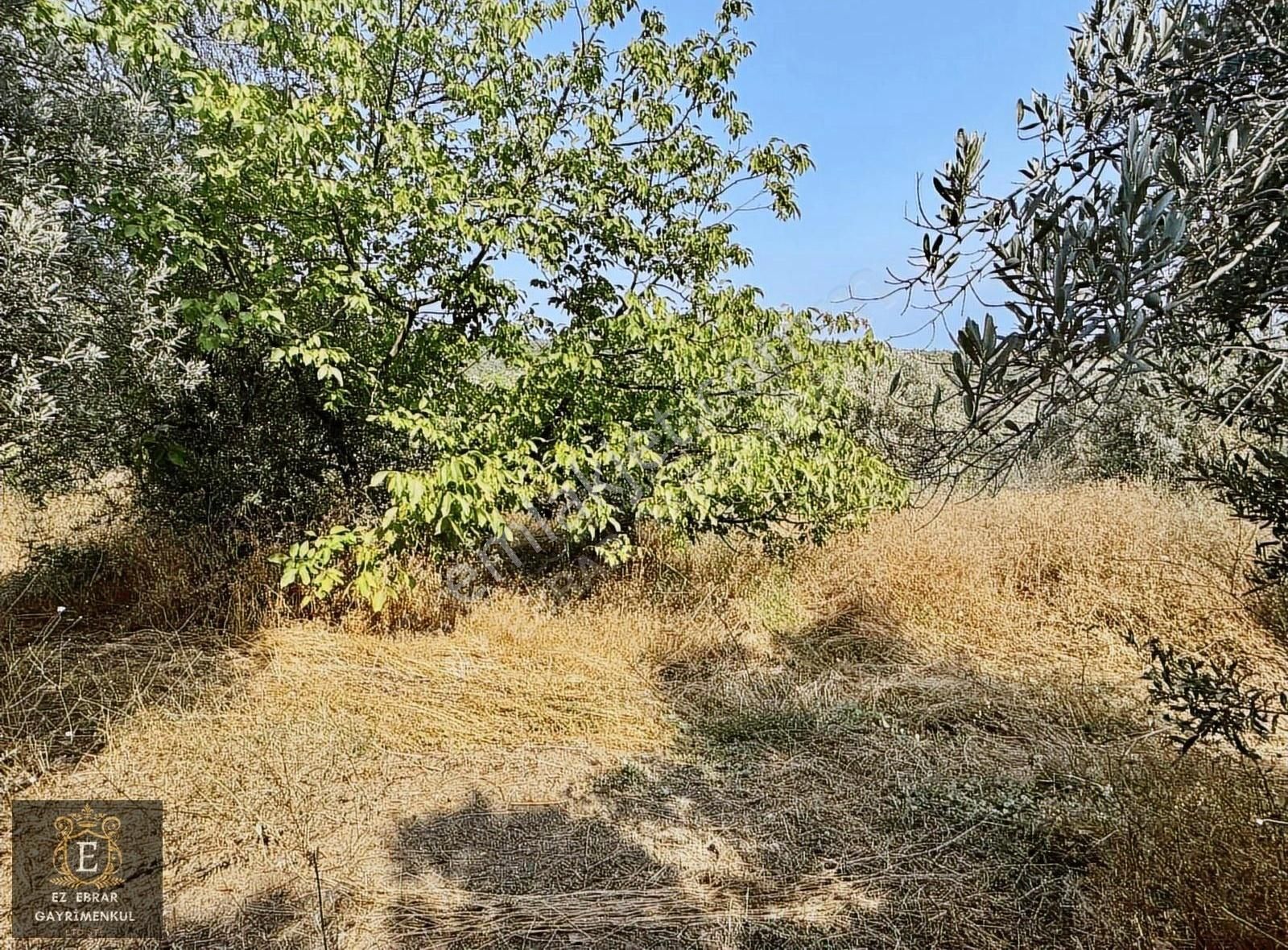 Mudanya İpekyayla'da 2750 M2, Yatırımlık Arazi - Görsel 19