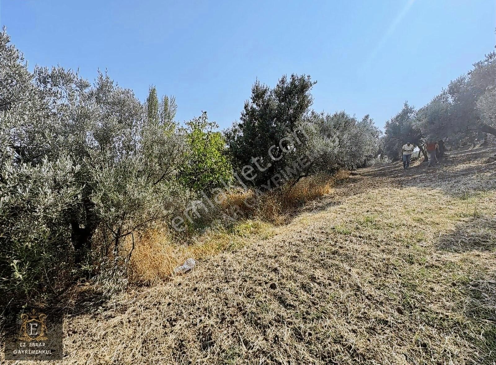 Mudanya İpekyayla'da 2750 M2, Yatırımlık Arazi - Görsel 8