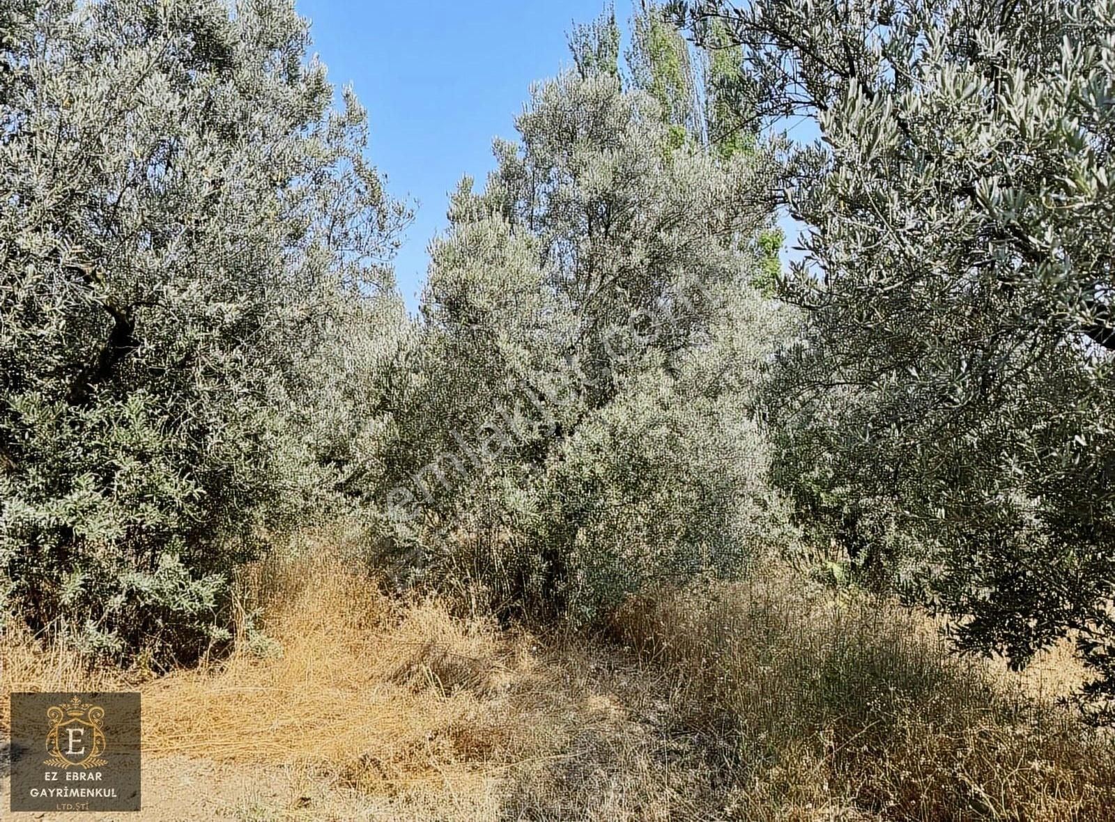 Mudanya İpekyayla'da 2750 M2, Yatırımlık Arazi - Görsel 3