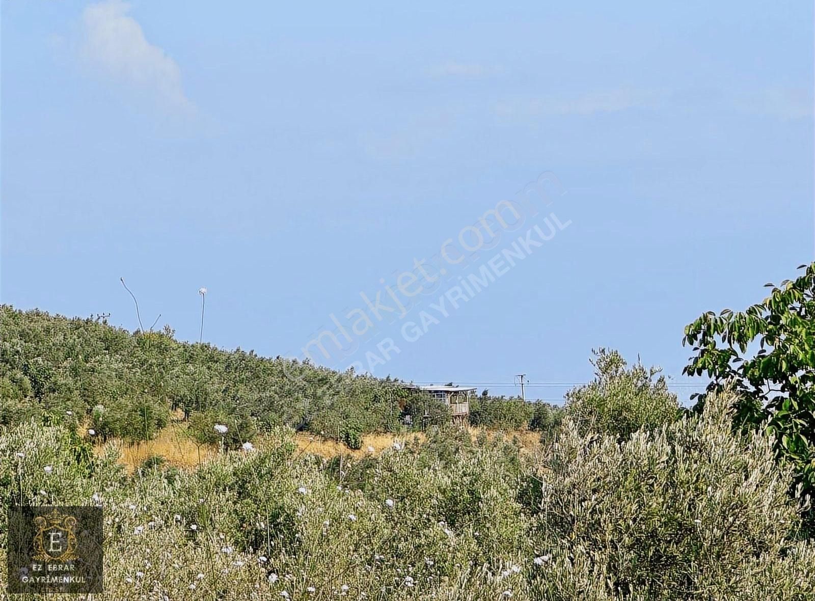 Mudanya İpekyayla'da 2750 M2, Yatırımlık Arazi - Görsel 10