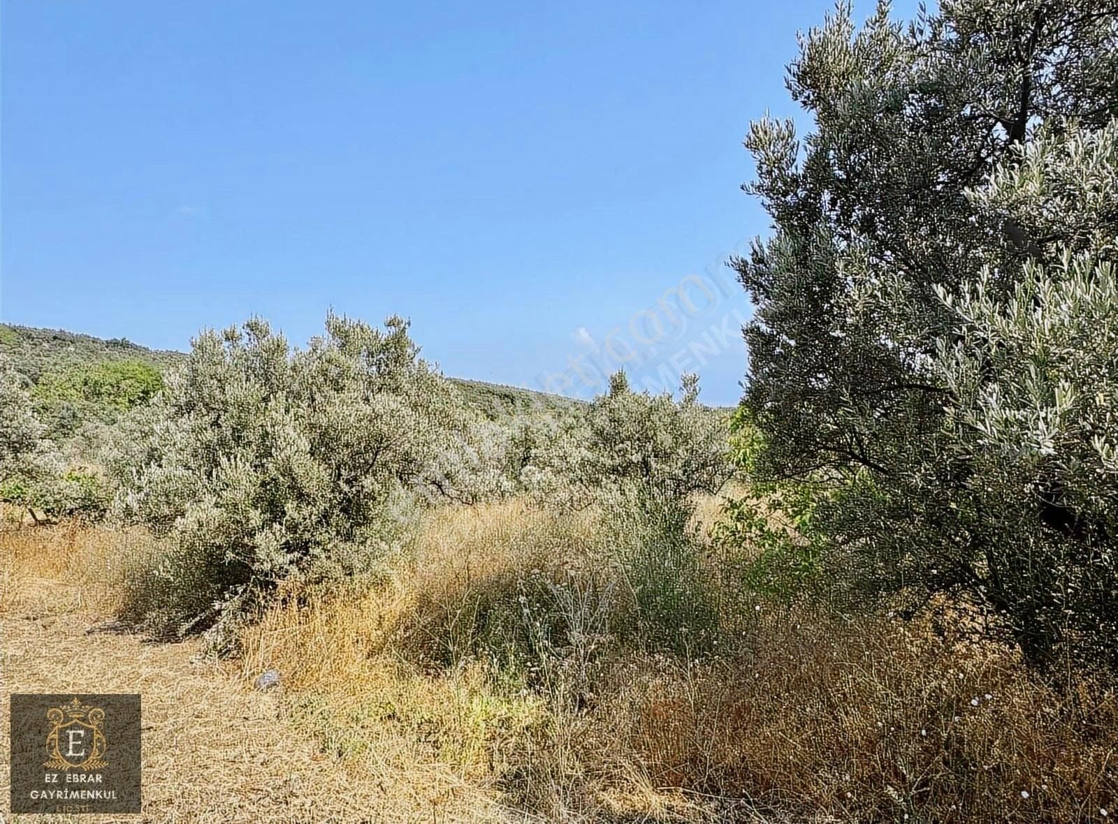 Mudanya İpekyayla'da 2750 M2, Yatırımlık Arazi - Görsel 25