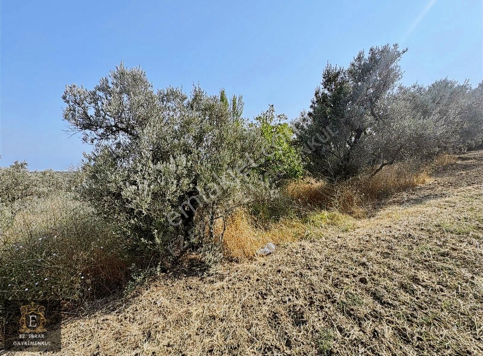 Mudanya İpekyayla'da 2750 M2, Yatırımlık Arazi - Görsel 20