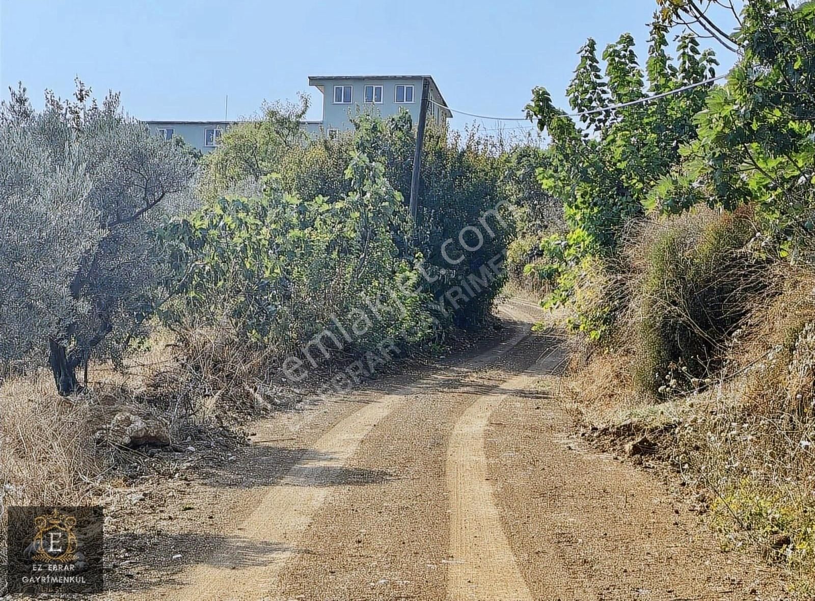 Mudanya İpekyayla'da 2750 M2, Yatırımlık Arazi - Görsel 9