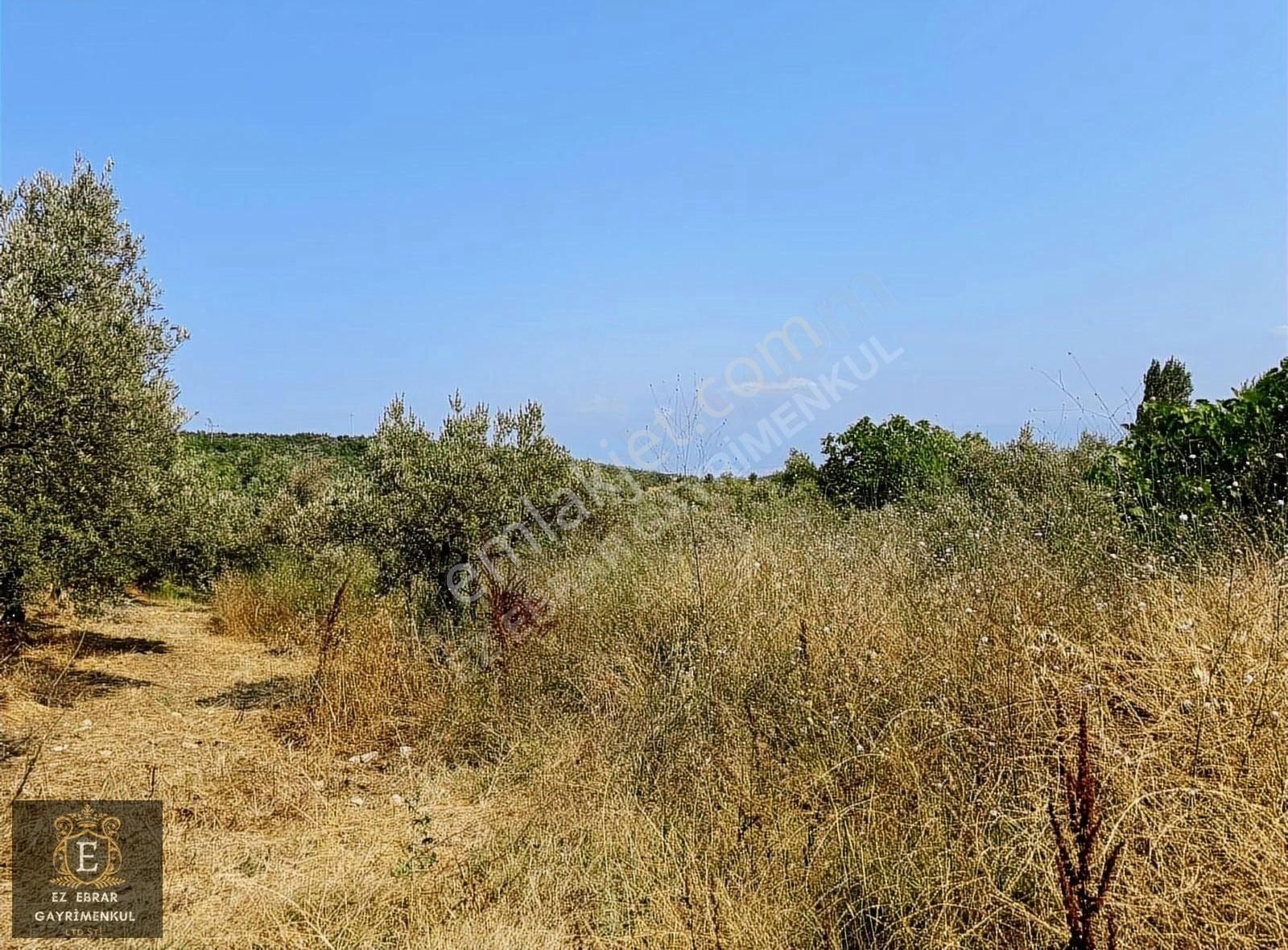 Mudanya İpekyayla'da 2750 M2, Yatırımlık Arazi - Görsel 21