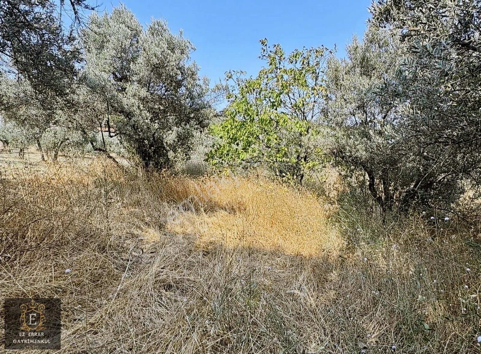 Mudanya İpekyayla'da 2750 M2, Yatırımlık Arazi - Görsel 11