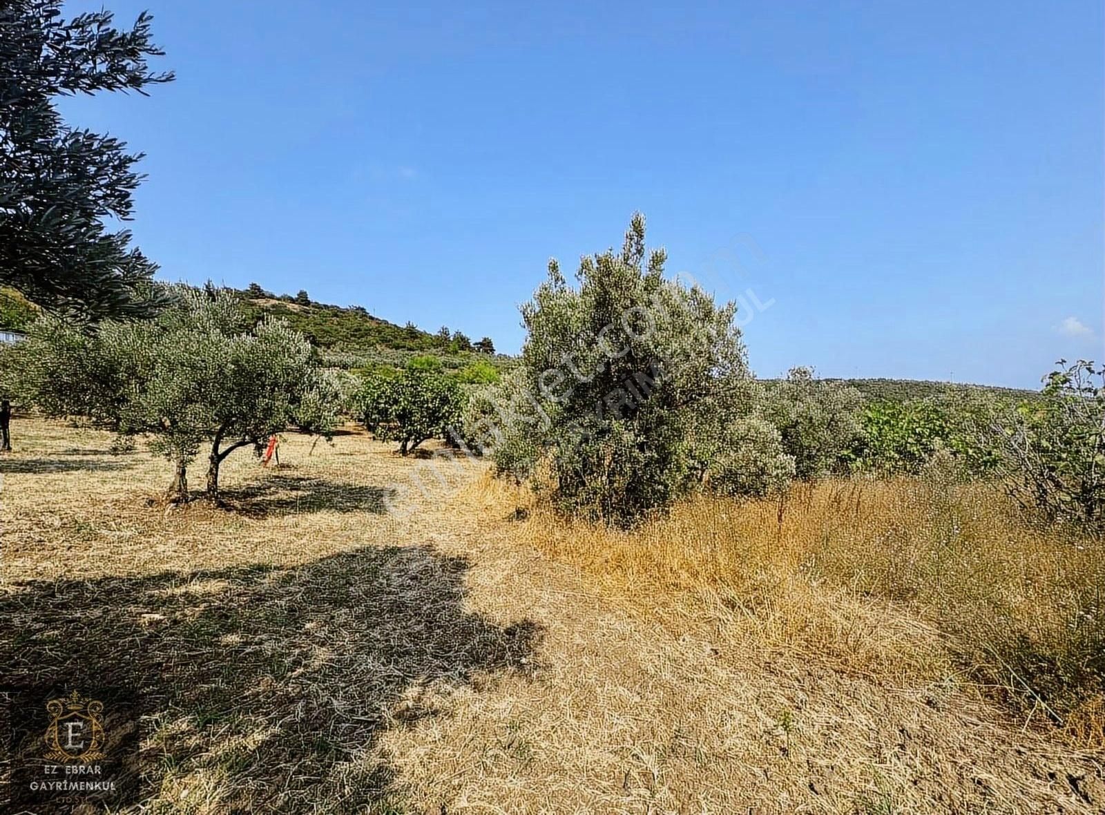 Mudanya İpekyayla'da 2750 M2, Yatırımlık Arazi - Görsel 24